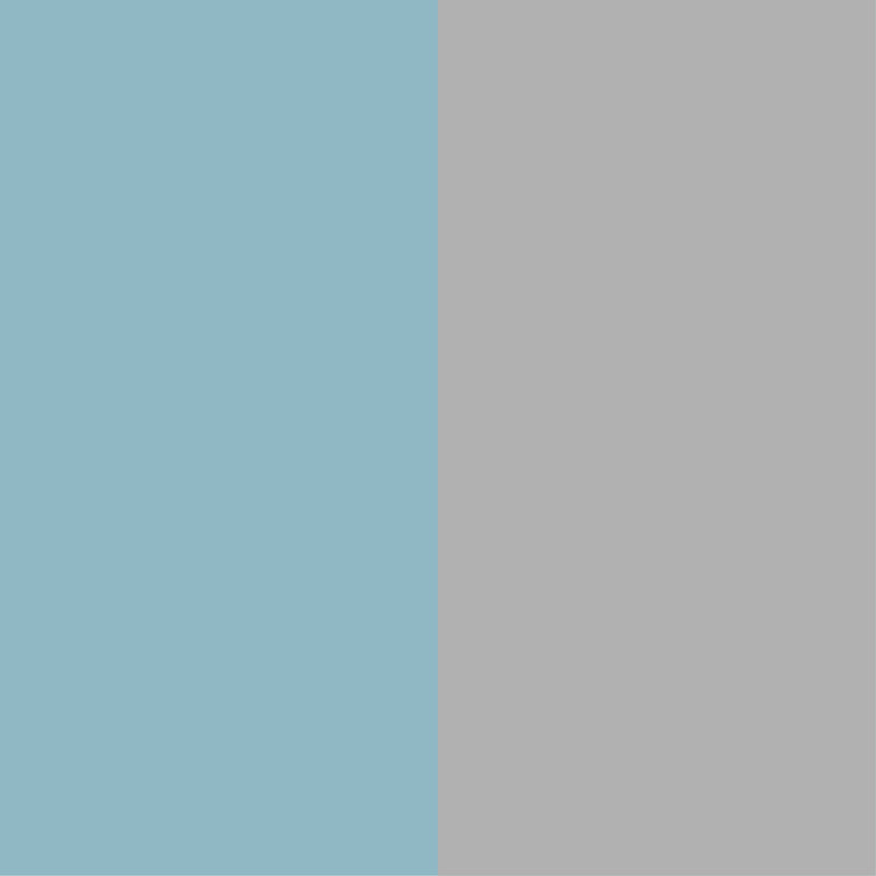 STARFISH STUD Pastel blue-silver
